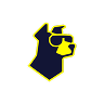 promotion logo